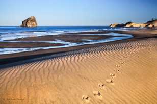 Neskowin beach-3551